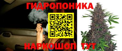 гидропоника Ижевск