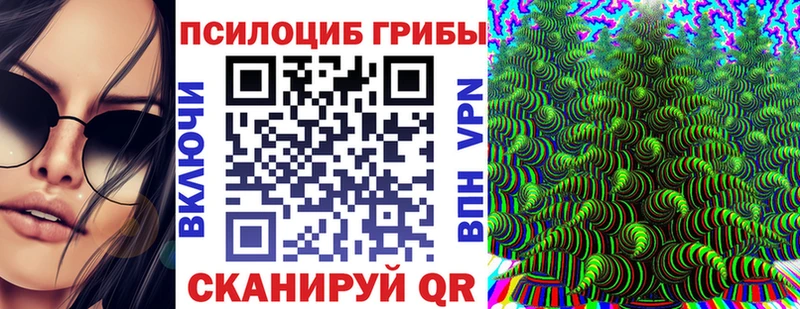 где купить   Карабулак  мега как зайти  Галлюциногенные грибы Psilocybe 