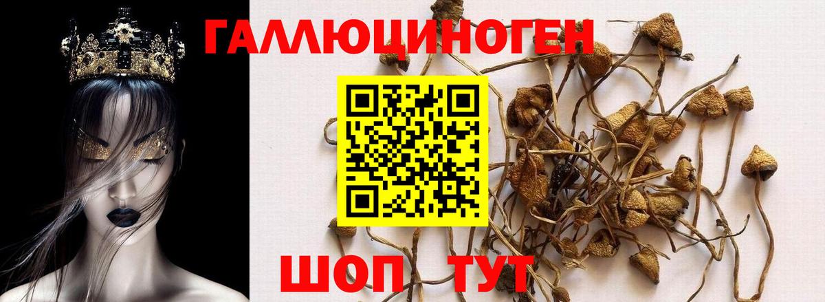 Псилоцибиновые грибы мицелий  Вход с VPN  Псилоцибиновые грибы ЛСД  Карабулак 